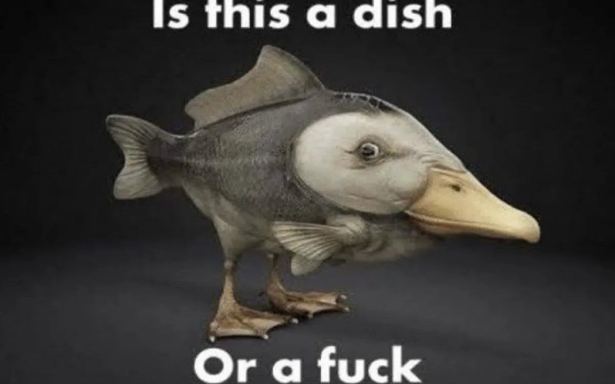 Zaposlujejo Nutrisslim, Pristop Media, iPROM in drugi