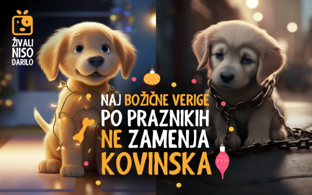 Živali niso darilo 