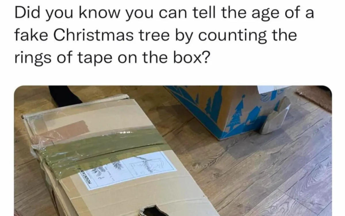 Zaposlujejo Pipistrel, PRO PLUS, WeAreTikTok in drugi