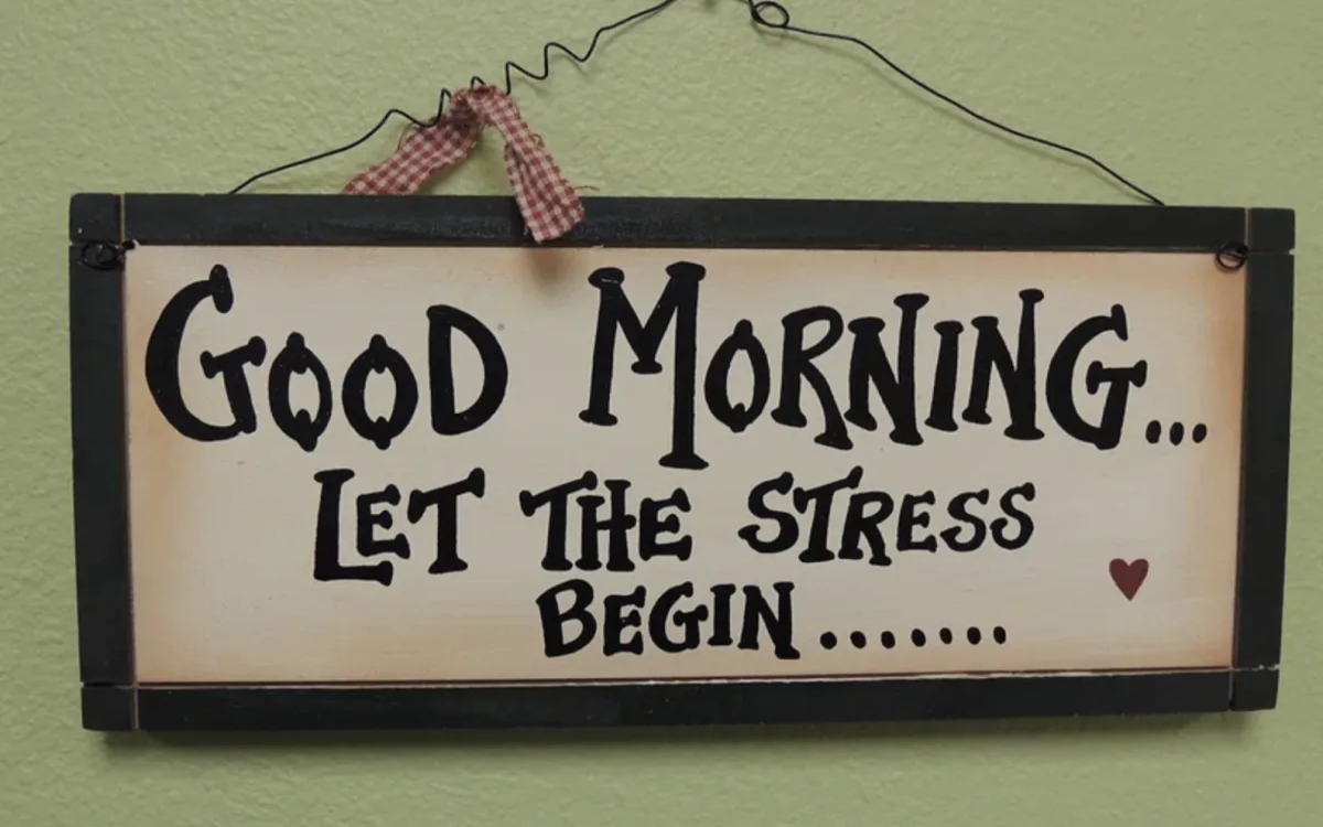 Razpisi: Od strategij do digitalnega oglaševanja