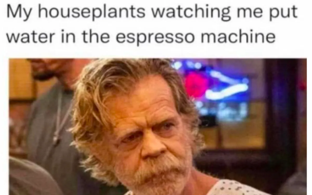 Zaposlujejo HOFER trgovina, Atlantic Droga Kolinska, Toyota Adria in drugi