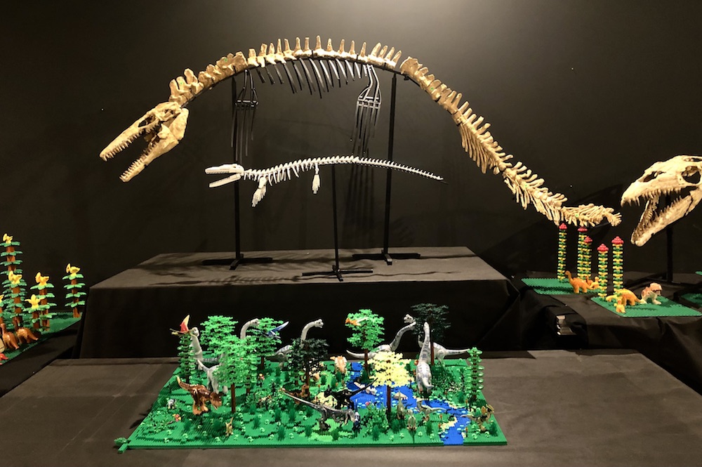 Lego na Bledu