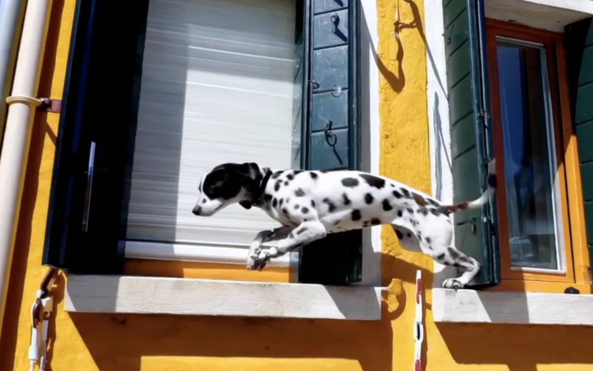 Bo Sora svet marketinga postavila na glavo?