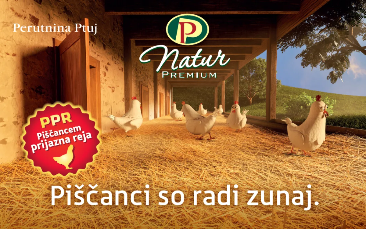 Piščanci so radi zunaj!