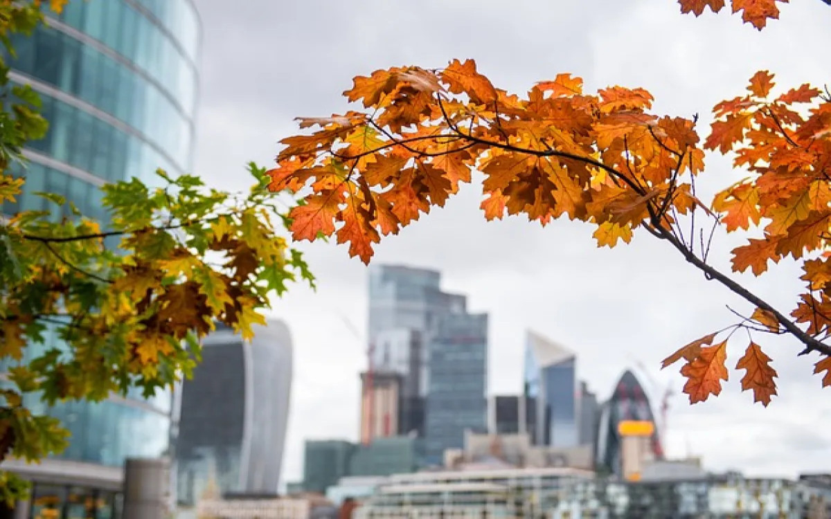 Več kot dve tretjini Slovencev bi delalo za tuja podjetja na daljavo