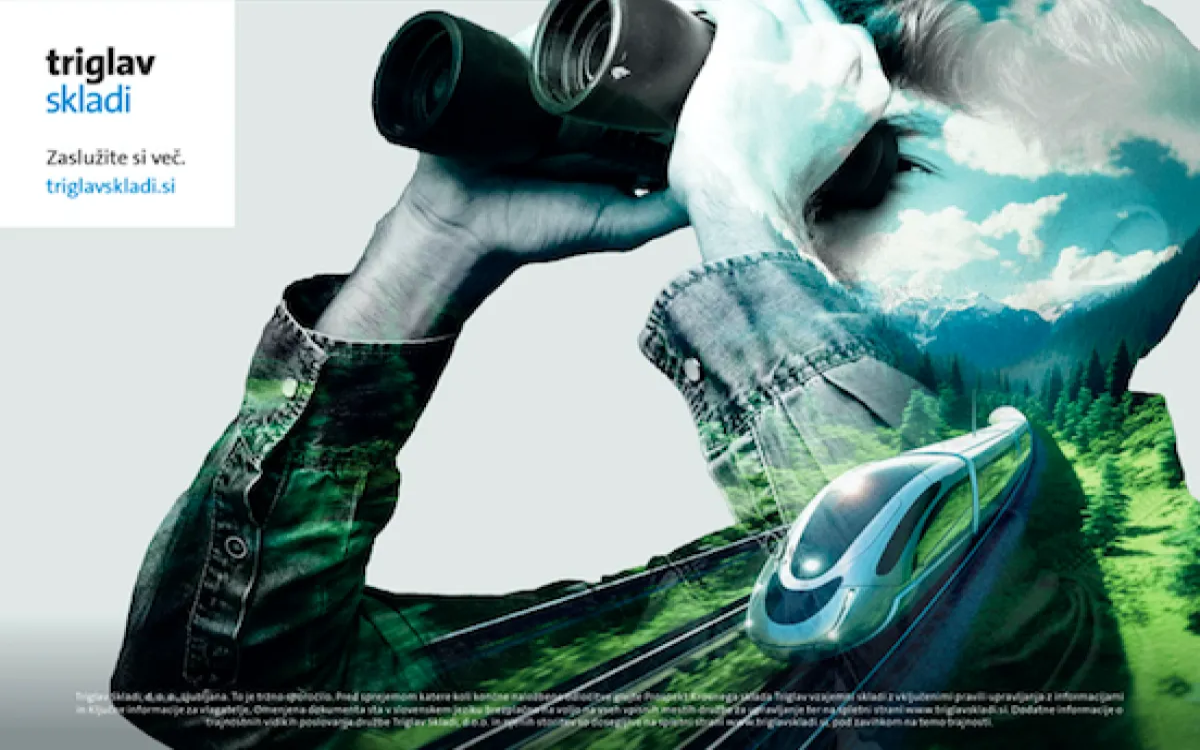 Investiranje v skladu s trajnostnimi načeli