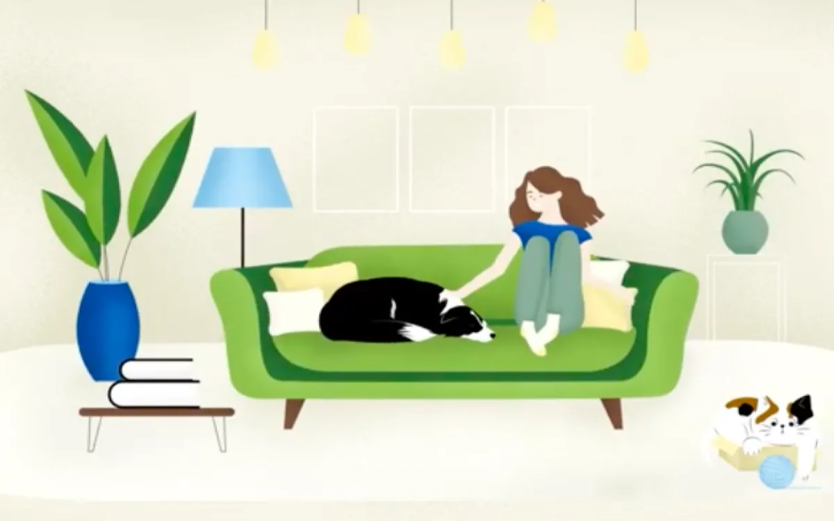 Mr. Pet varčni paketi 