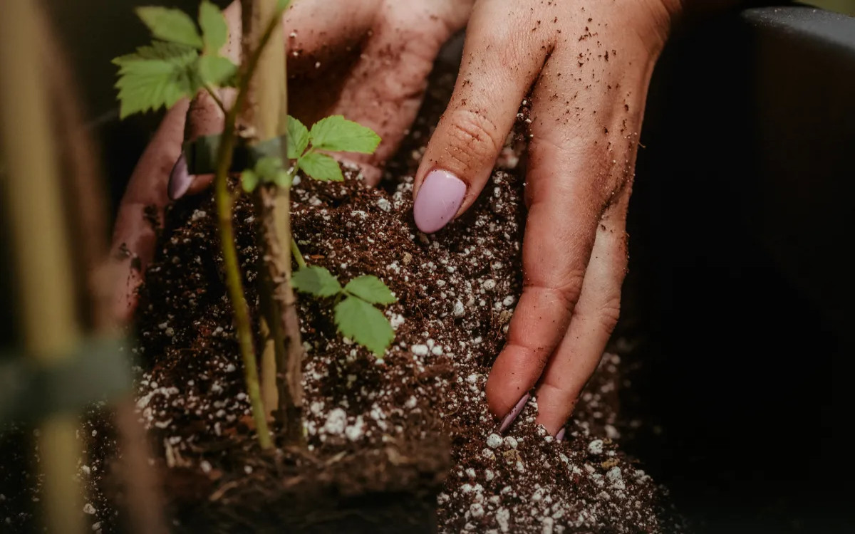 Koliko imaš pa ti zemlje za nohti?