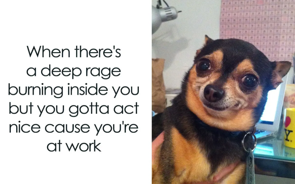 Zaposlujejo H&M, Volvo, T-2 in drugi