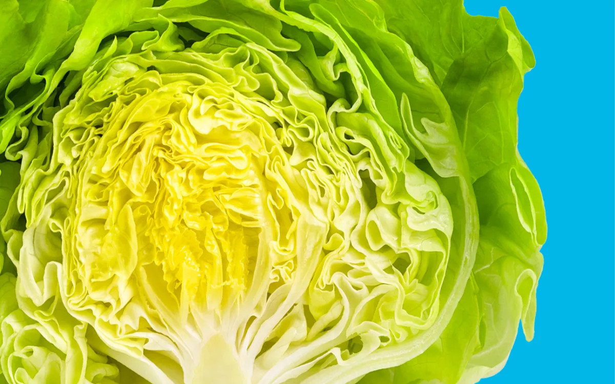 Osvežitev za vroče dni