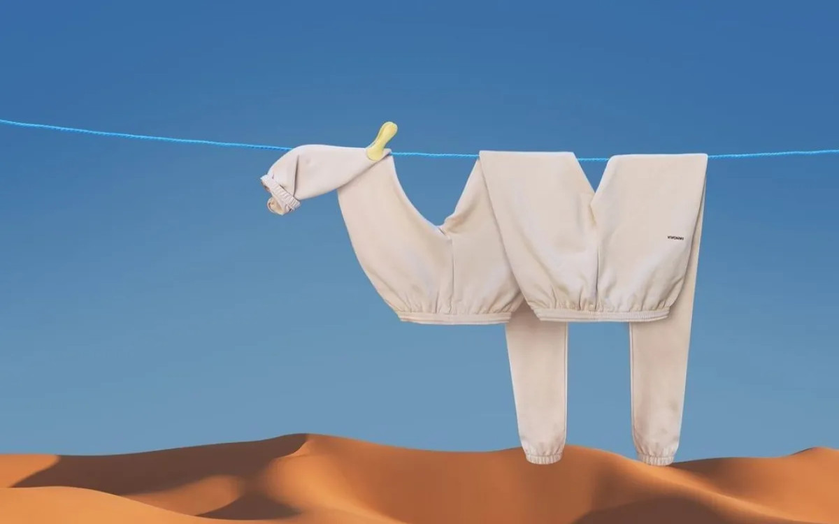 Zaposlujejo NLB, THE OTHER, Nomago in drugi