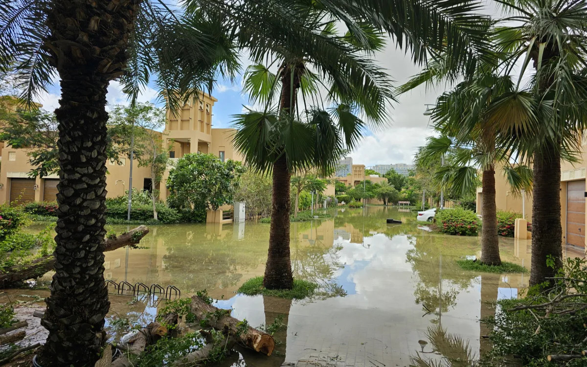 Karmična povezava katastrofalnih dubajskih poplav in konference COP28 