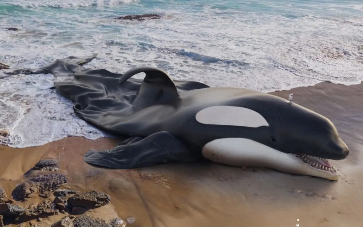 Stop napihljivim igračam!