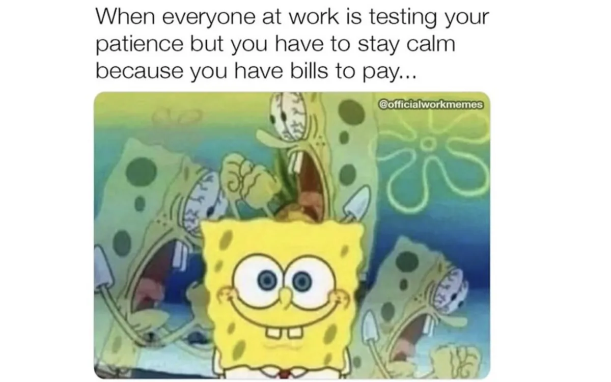 Zaposlujejo Spar Slovenija, Ljubljanske mlekarne, IPPR in drugi