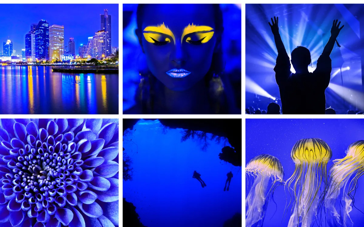 34. SOF: Za nagrade se poteguje za desetino več del kot lani