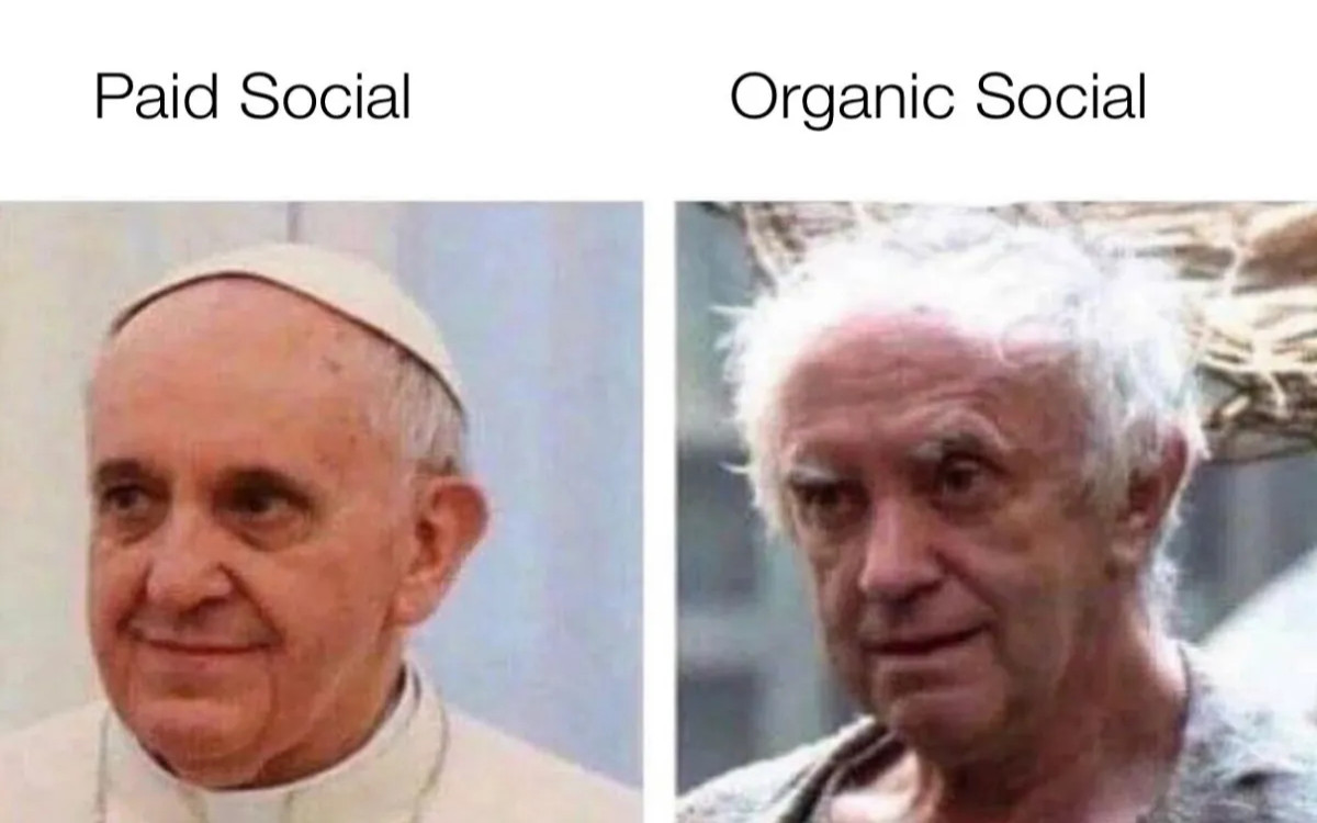 Zaposlujejo Skaza, Optiweb, Nomago in drugi