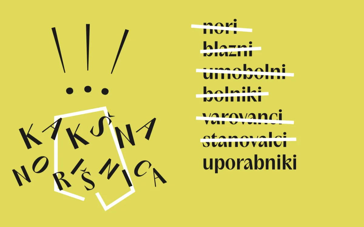 Kakšna norišnica ali kampanja za dezinstitucionalizacijo