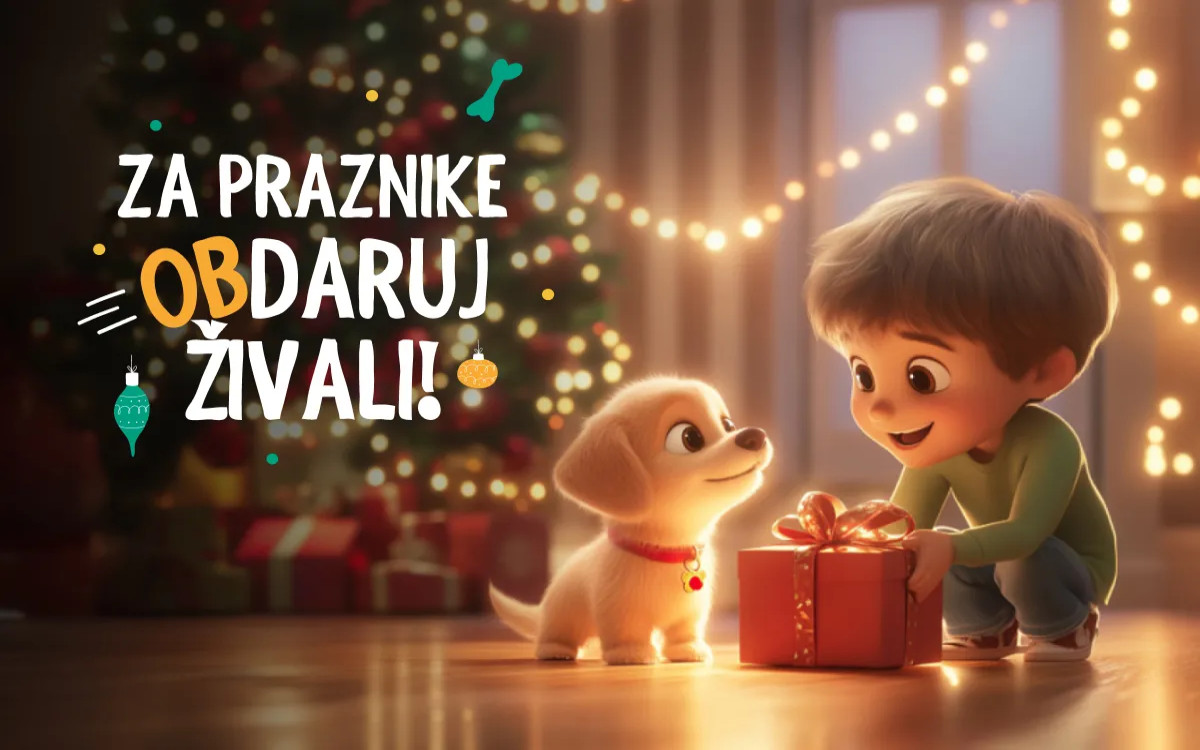 Zavarovalnica Sava: Za praznike obdaruj živali