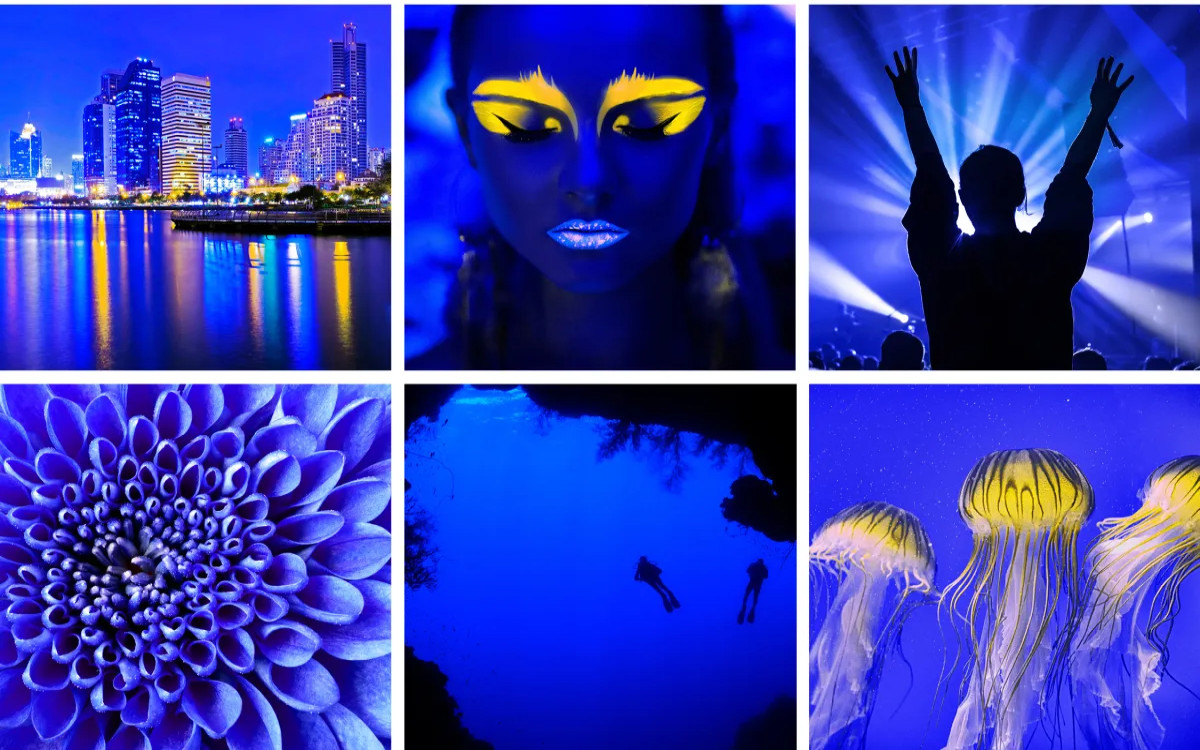 34. SOF: Znane vse žirije 