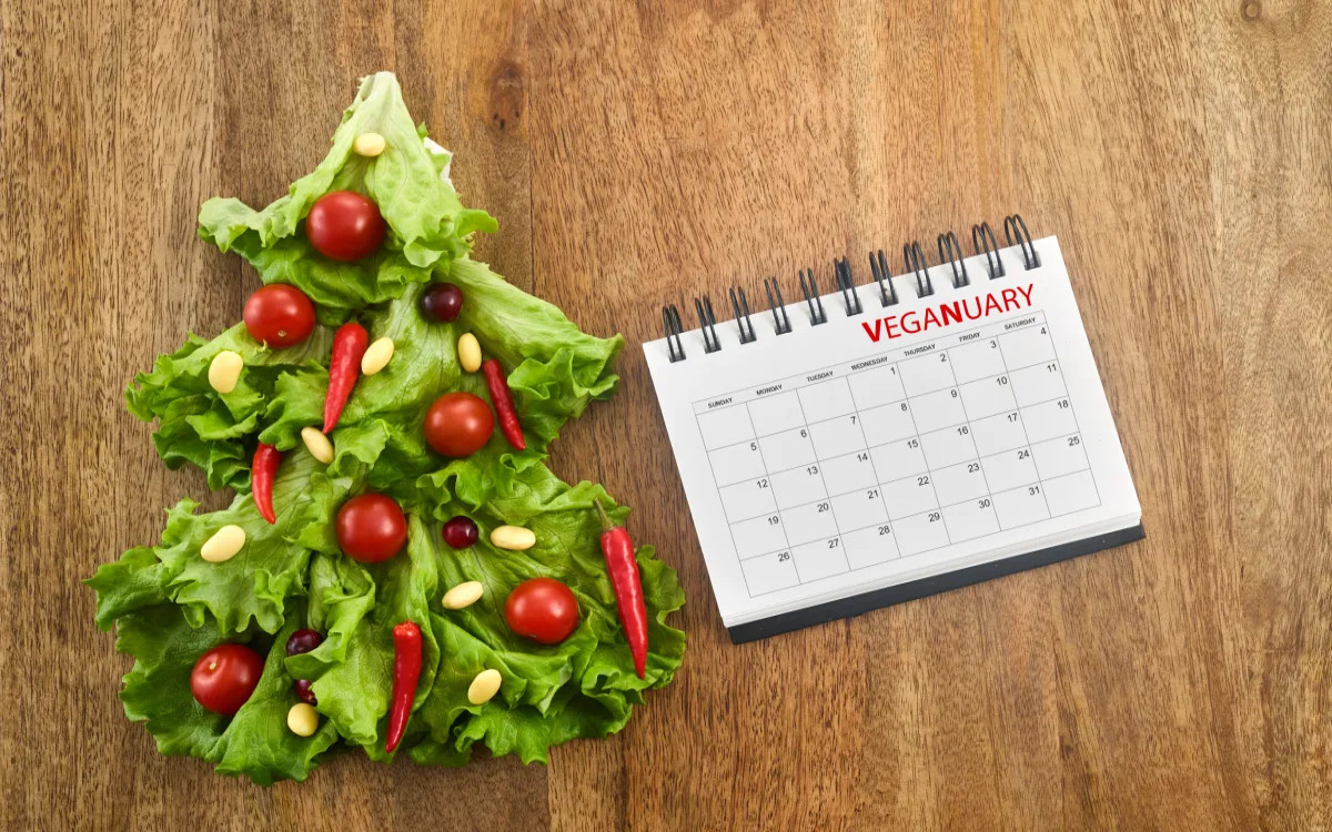 MM-ova mini anketa: Suhi ali veganski januar?