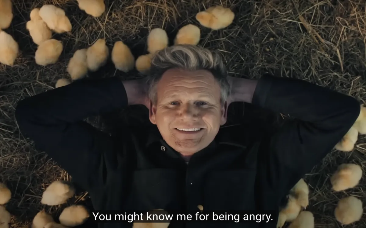 »Opravičilo vsem, ki sem jim rekel, da so osli.«