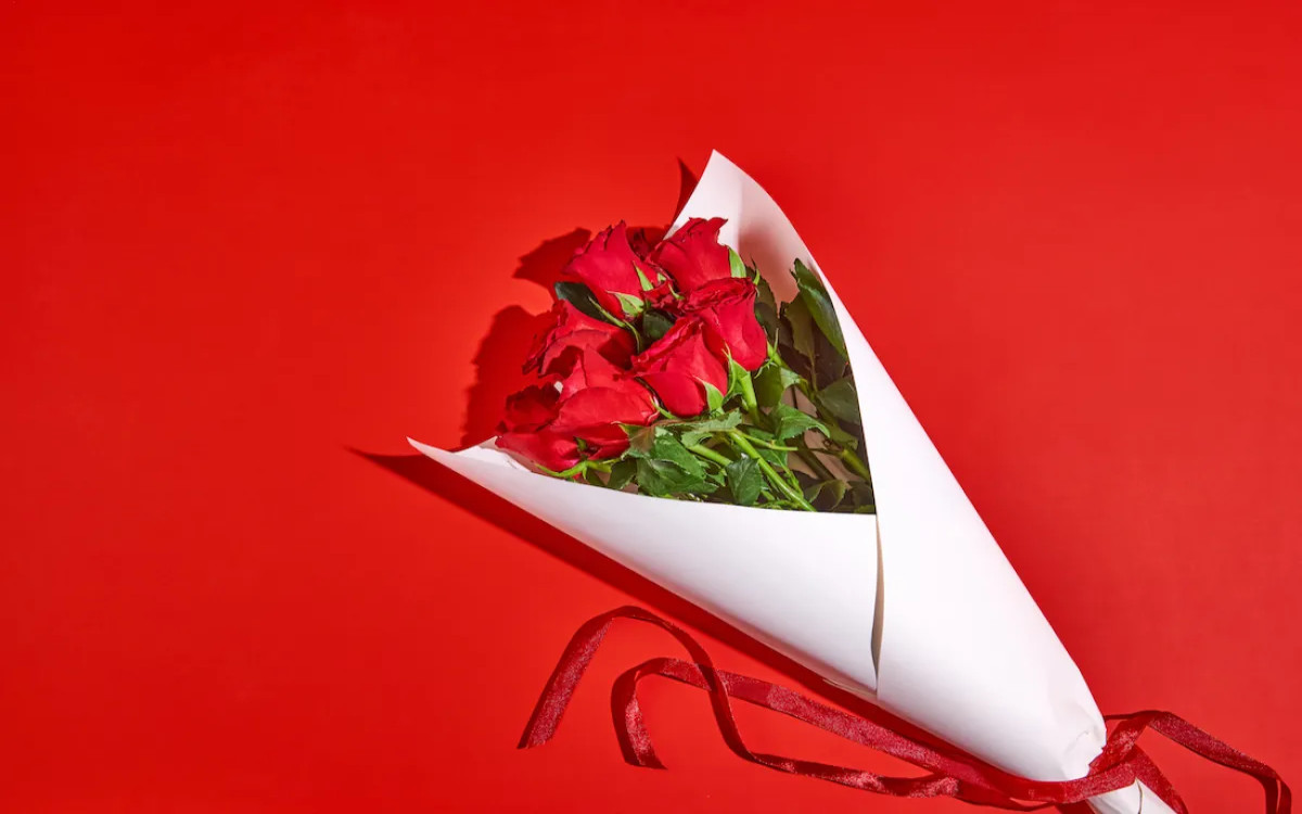 Kaj boste pa vi podarili za valentinovo? 