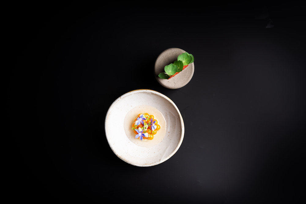 Paradižnik in šalotka. 