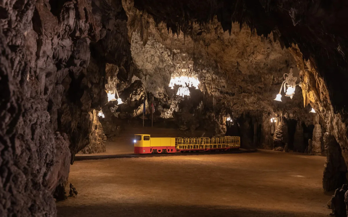 Werner Herzog: »Postojnska jama je najlepša jama na svetu«