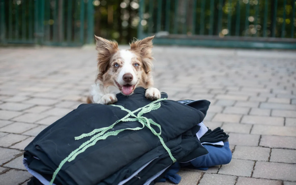 Opazili smo: HOFER z odsluženimi službenimi oblačili pomaga zavetiščem za živali