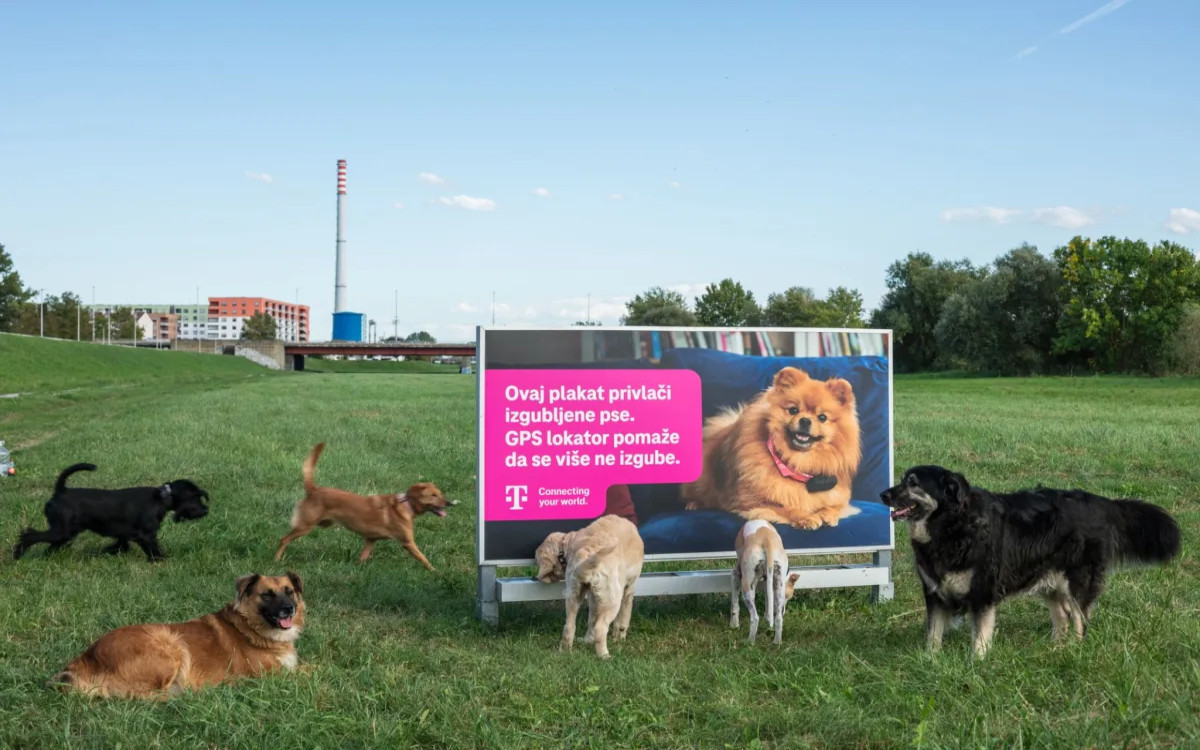 Opazili smo: Plakat, ki vam pomaga najti izgubljenega psa 