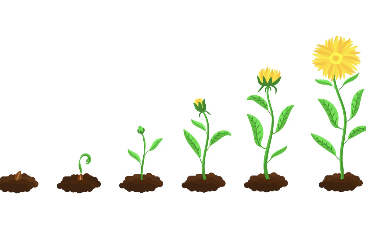 Globalni oglaševalski trg raste