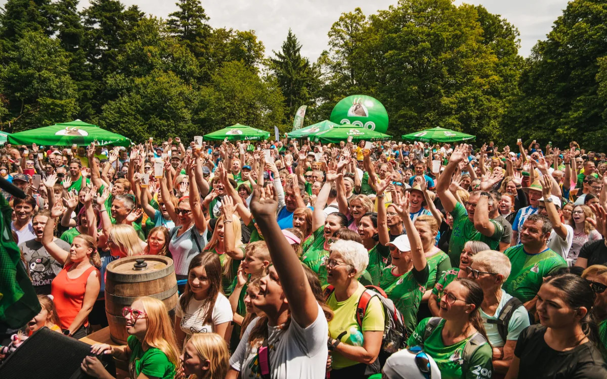 Laško in glasba v letu 2025: več kot 60 projektov