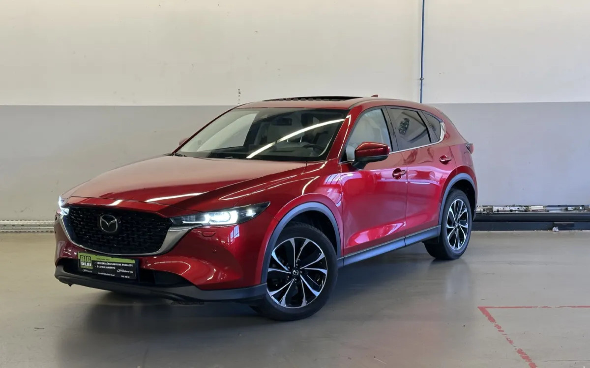 Prodaja rabljenih avtomobilov: Kako izbrati zanesljivo vozilo