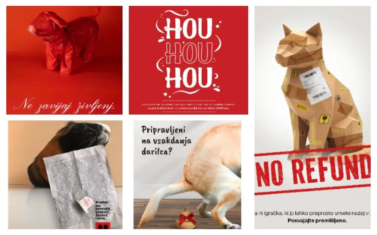 Proglasi opozarjajo: Žival ni darilo!