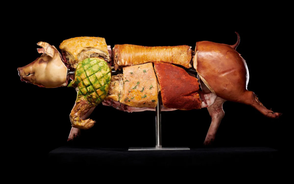 PISMMO IZ AVSTRIJE: Meso na razstavi kot ogledalo družbe