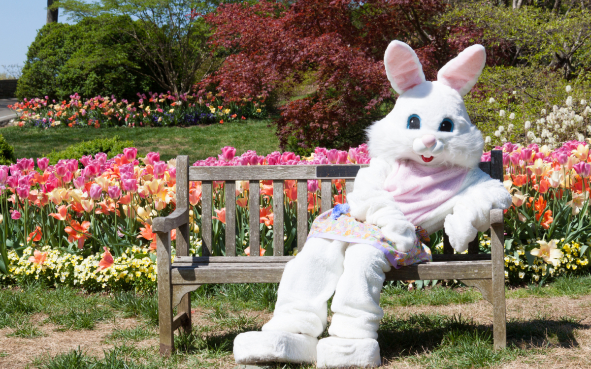 Preden se lotite pirhov in potice …