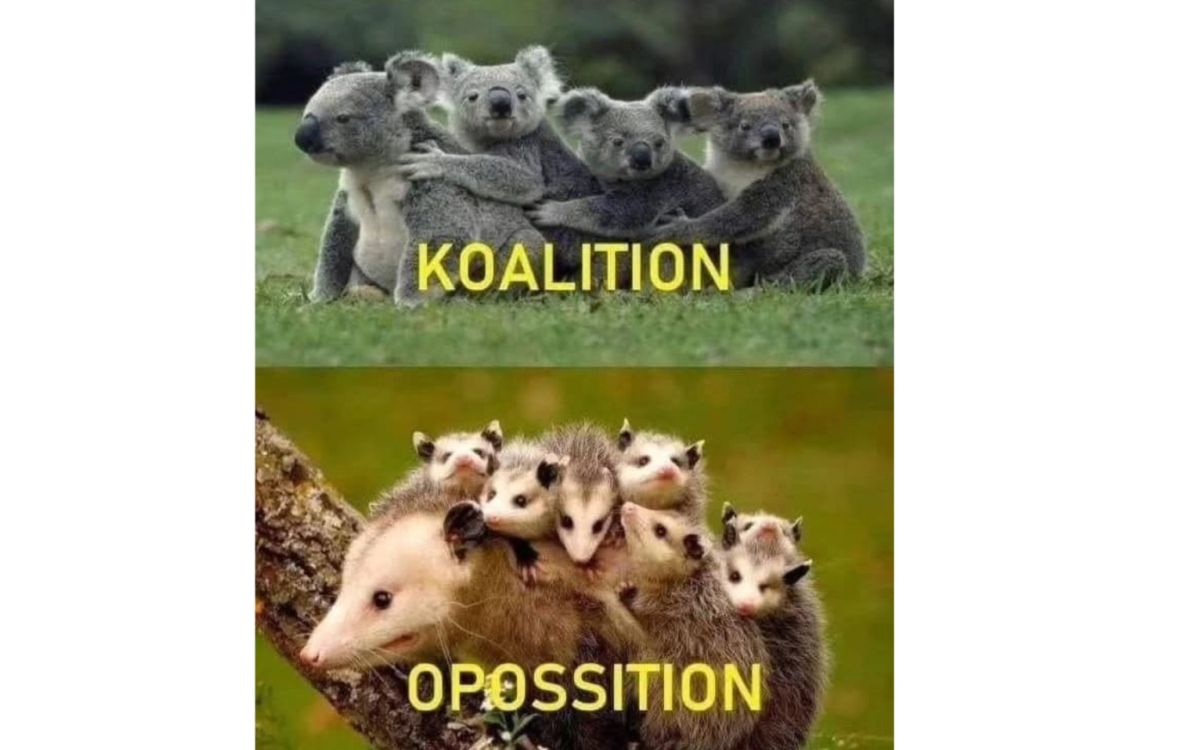 Zaposlujejo Seven Chilies AI,  Volvo, Red Bull in drugi