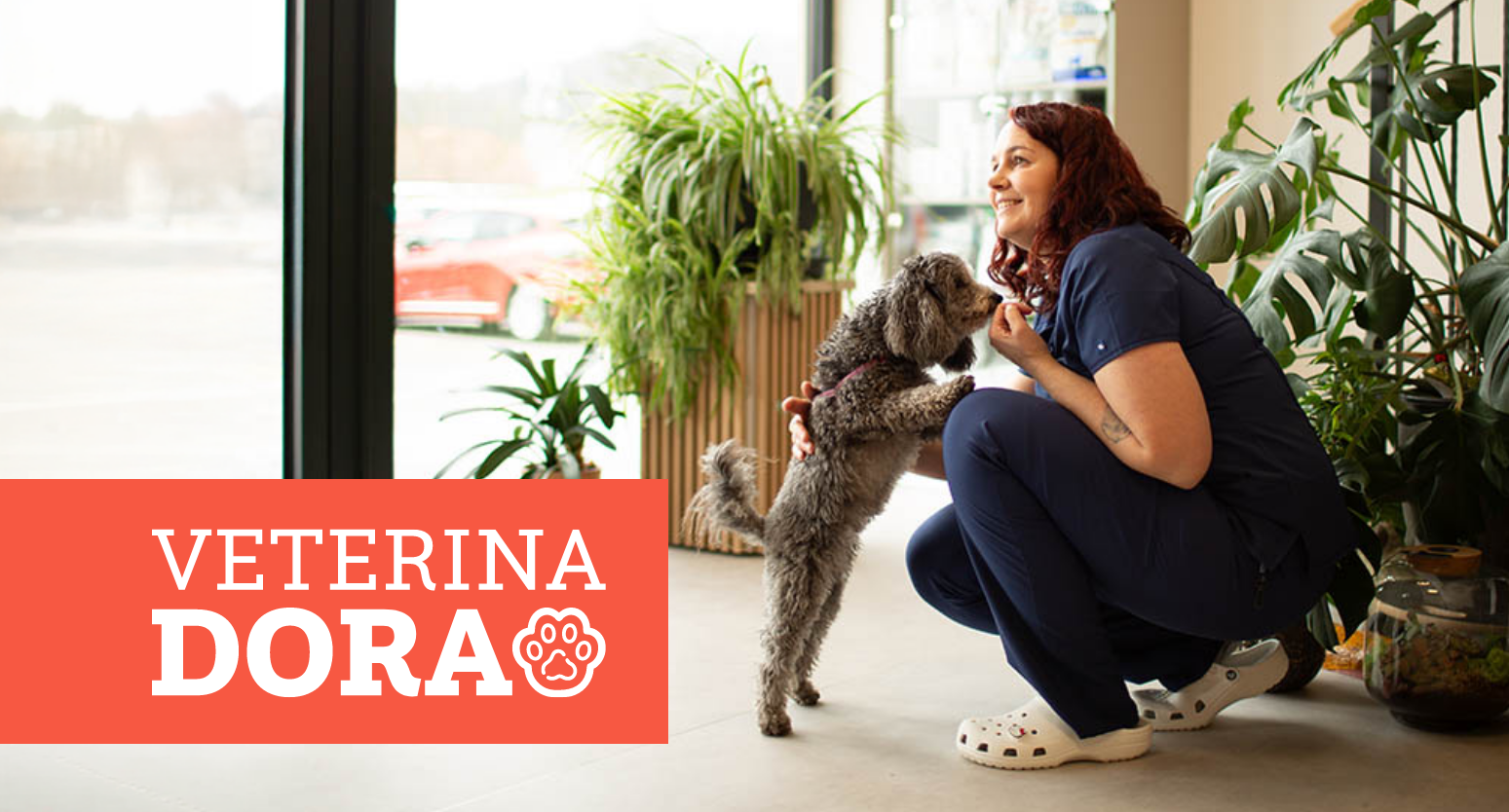 Znanje, humor in osebni pristop: kako Veterina Dora gradi zaupanje