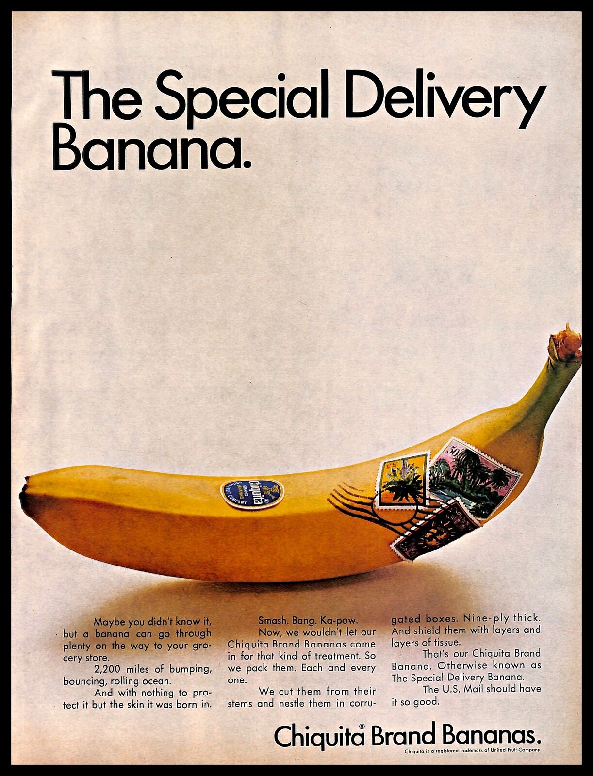banane4